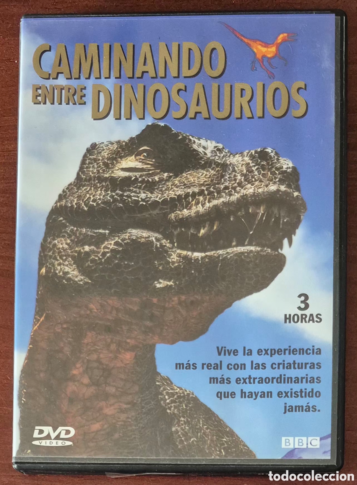 Series de TV: DVD - CAMINANDO ENTRE DINOSAURIOS (AUDIOS EN CASTELLANO)