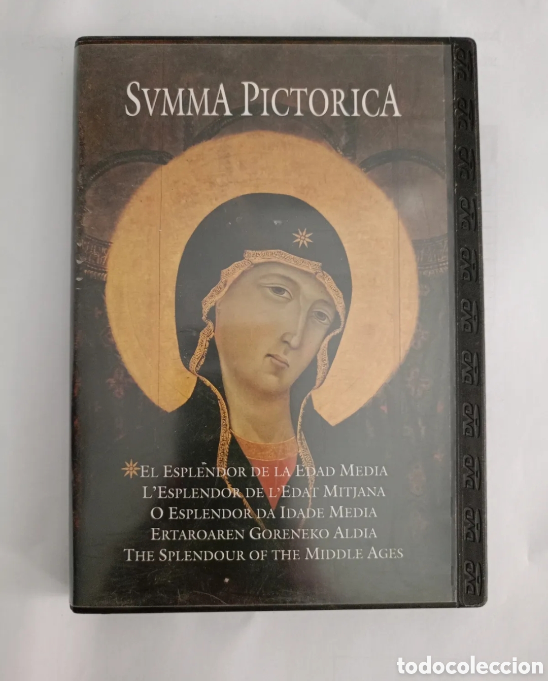 Fernsehserien: Summa Pictorica. El Esplendor de la Edad Media. Historia Universal de la Pintura. DVD