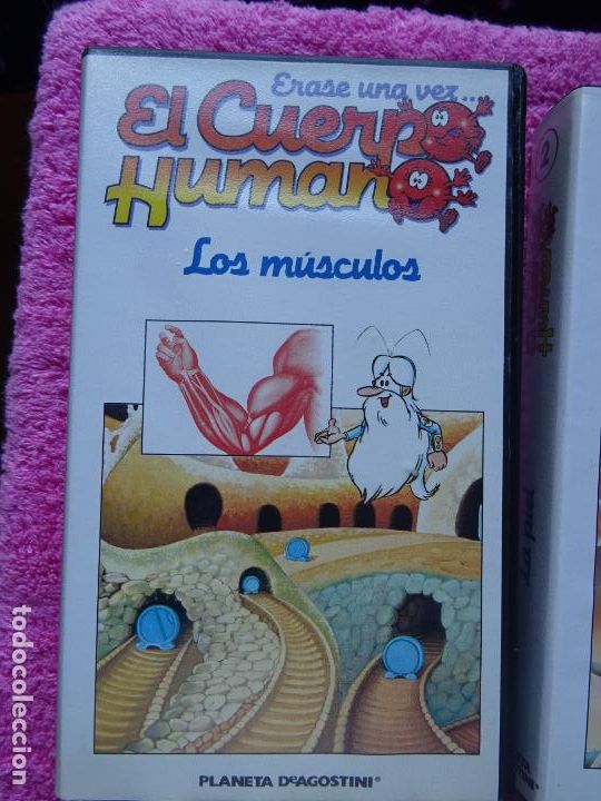 Erase Una Vez El Cuerpo Humano Capitulo 9