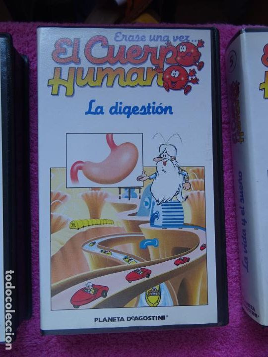 Erase Una Vez El Cuerpo Humano Capitulo 9