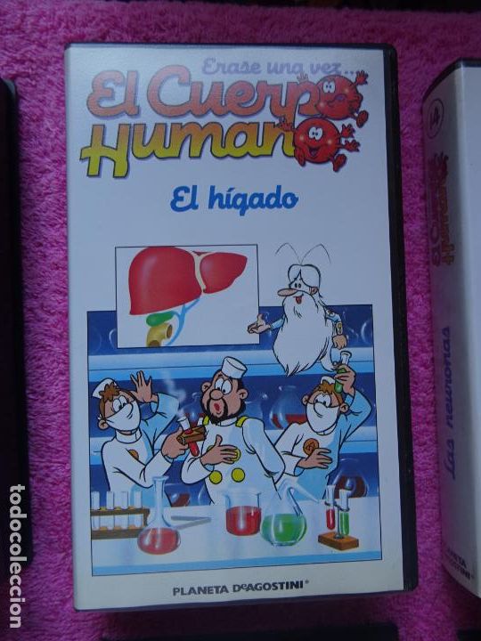 Erase Una Vez El Cuerpo Humano Capitulo 9