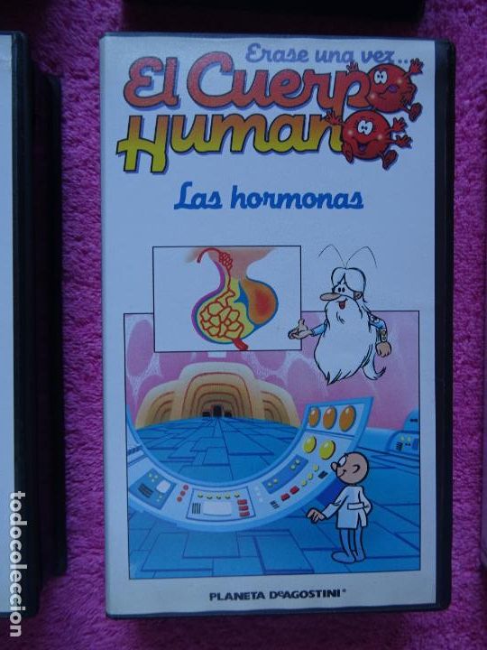 Erase Una Vez El Cuerpo Humano Capitulo 9