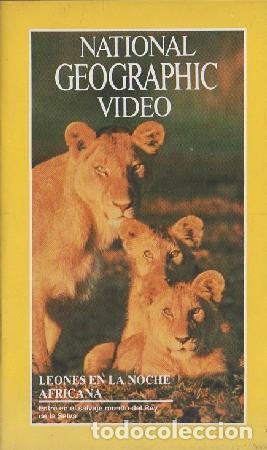 national geographic video. leones en la noche a - Buy TV series on VHS on  todocoleccion