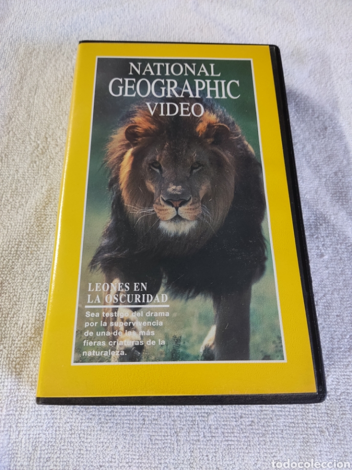 vhs. national geographic video. leones en la os - Compra venta en  todocoleccion