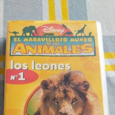 Series de TV: EL MARAVILLOSO MUNDO DE LOS ANIMALES 1 LOS LEONES VHS DISNEY. Lote 362336330