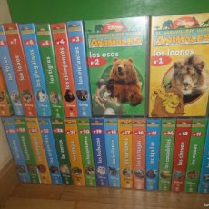 Series de TV: EL MARAVILLOSO MUNDO DE LOS ANIMALES DISNEY - LOTE 25 VHS / COLECCIN CASI COMPLETA ( SOLO FALTA 1 ). Lote 368160181