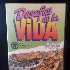 Series de TV: DESAFIOS DE LA VIDA- LA AVENTURA DE CRECER