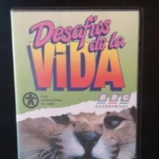 Series de TV: DESAFIOS DE LA VIDA- LA LUCHA POR LA VIDA