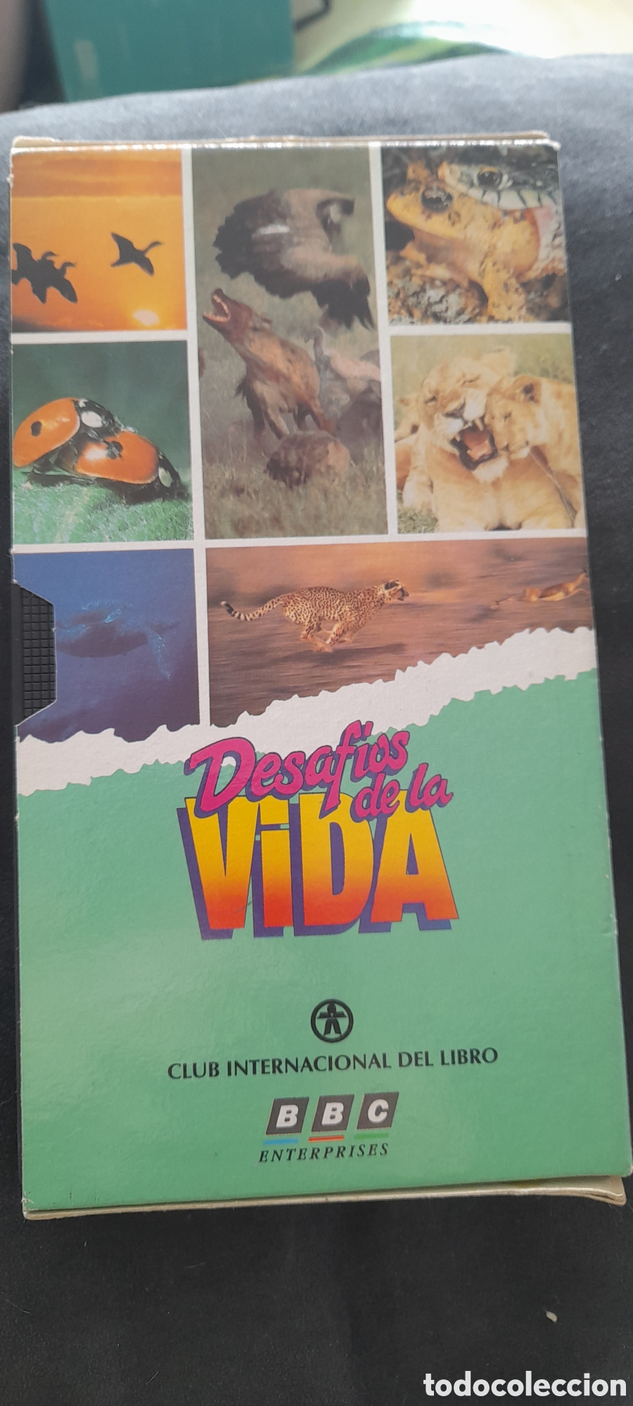 Series de TV: Desaf&iacute;os de la vida . VHS - Foto 2