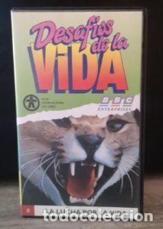 Series de TV: DESAFIOS DE LA VIDA- LA LUCHA POR LA VIDA - Foto 1