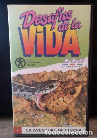 Series de TV: DESAFIOS DE LA VIDA- LA AVENTURA DE CRECER