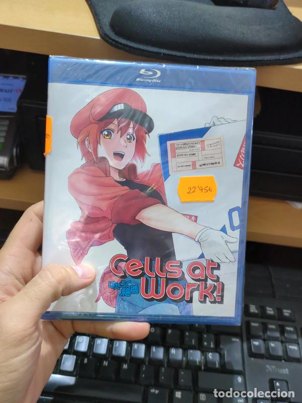Series de TV: Cells at Work Vol.1 (7 cap&iacute;tulos) Blu-ray precintado - Foto 1