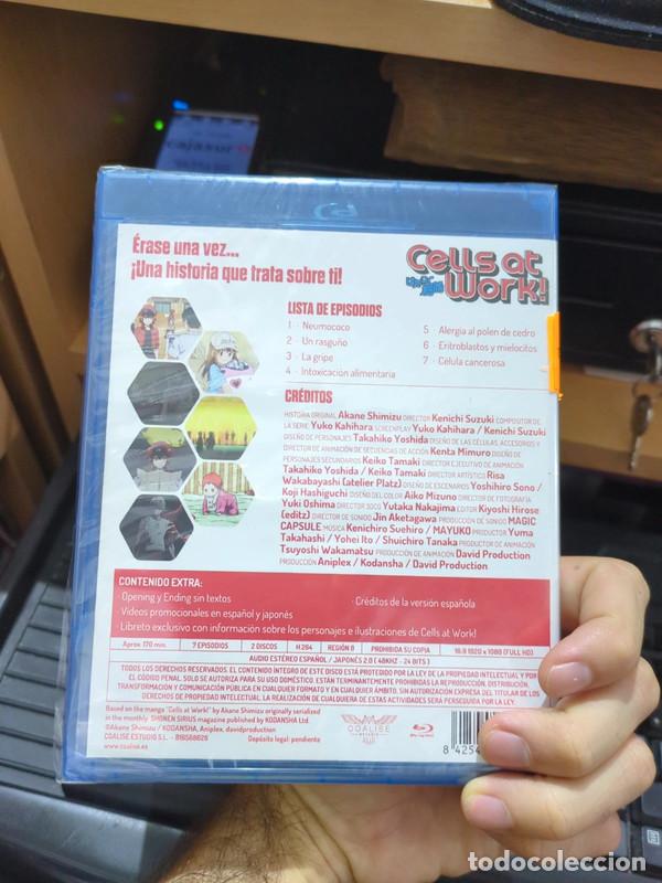 Series de TV: Cells at Work Vol.1 (7 cap&iacute;tulos) Blu-ray precintado - Foto 2