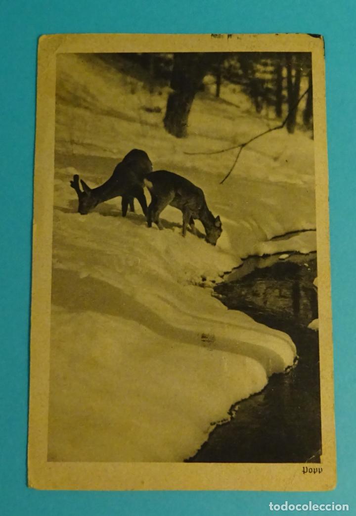 Sellos: POSTAL CIRCULADA BARCELONA A ALCANAR. 1955 - Foto 2