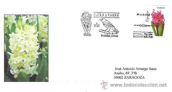 Sellos: ESPA&Ntilde;A. SOBRE PRIMER DIA. FLOR JACINTO. 2007 - Foto 1