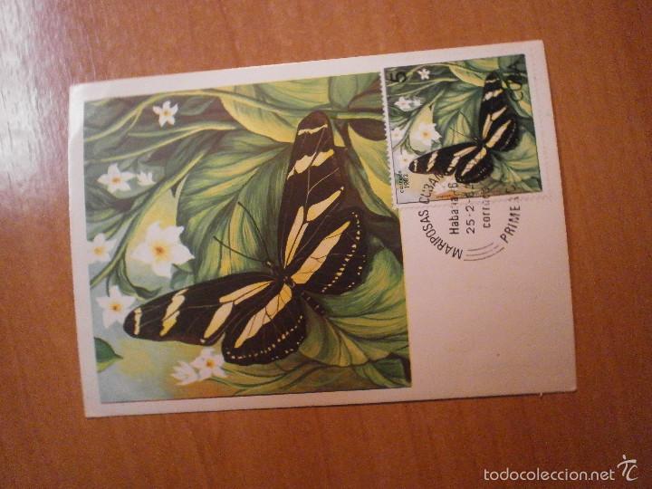 Sellos: TARJET POSTAL PRIMER DIA MARIPOSAS CUBANAS - Foto 1