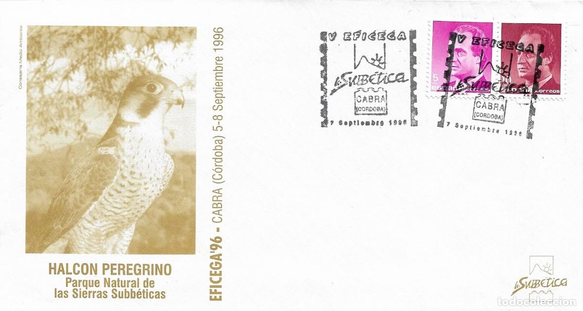 Sellos: AVES HALCON PEREGRINO PARQUE NATURAL SIERRAS SUBBETICAS, CABRA (CORDOBA) 1996. MATASELLOS RARO SOBRE