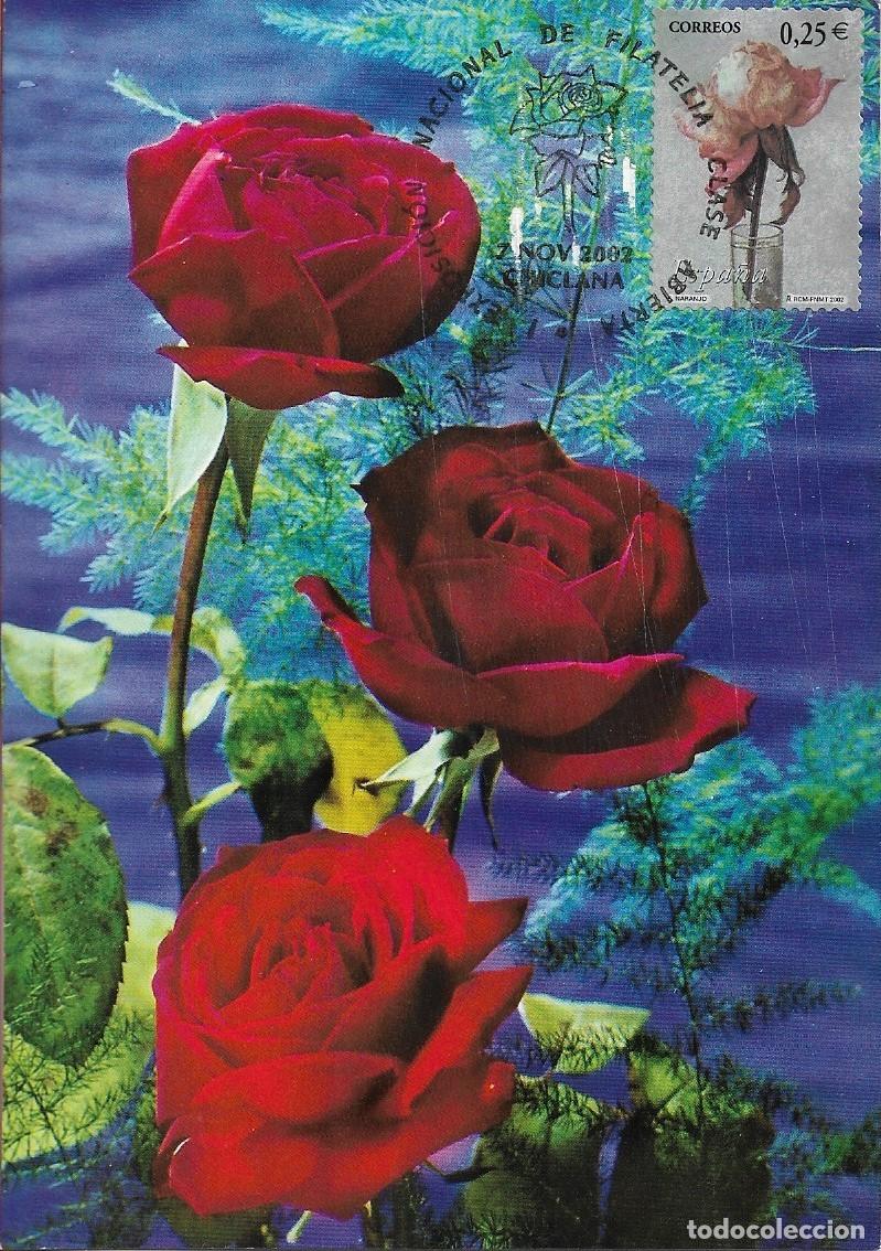Sellos: FLORA CHICLANERA I EXPOSICION NAL FILATELIA CLASE ABIERTA, CHICLANA (CADIZ) 2002. MATASELLOS TARJETA