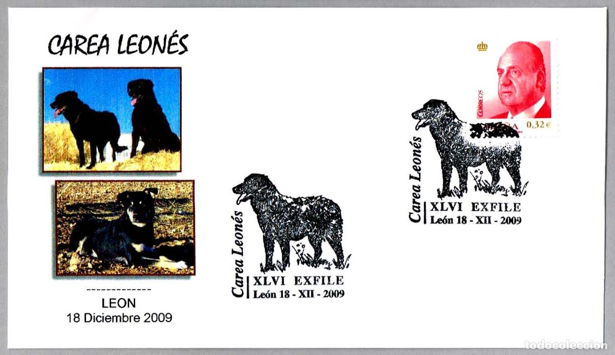Sellos: Matasellos PERRO CAREA LEONES. Leon 2009 - Foto 1