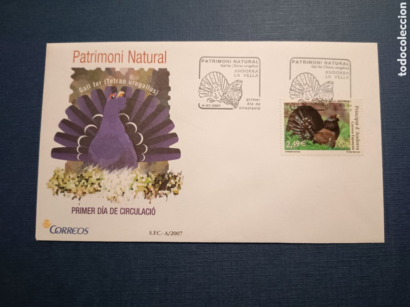 Selos: ANDORRA - SOBRE PRIMER DIA - 4 JULIO 2007 - PATRIMONI NALTURAL - GALL FER TETRAO UROGALLUS