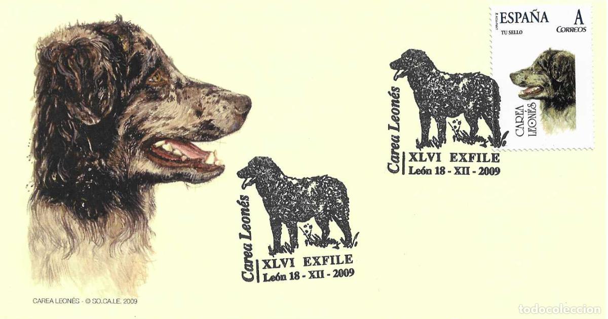 Sellos: RARO TU SELLO PERROS DIA DEL CAREA LEONES XLVI EXFILE, LEON 2009 MATASELLOS EN TARJETA ILUSTRADA VER