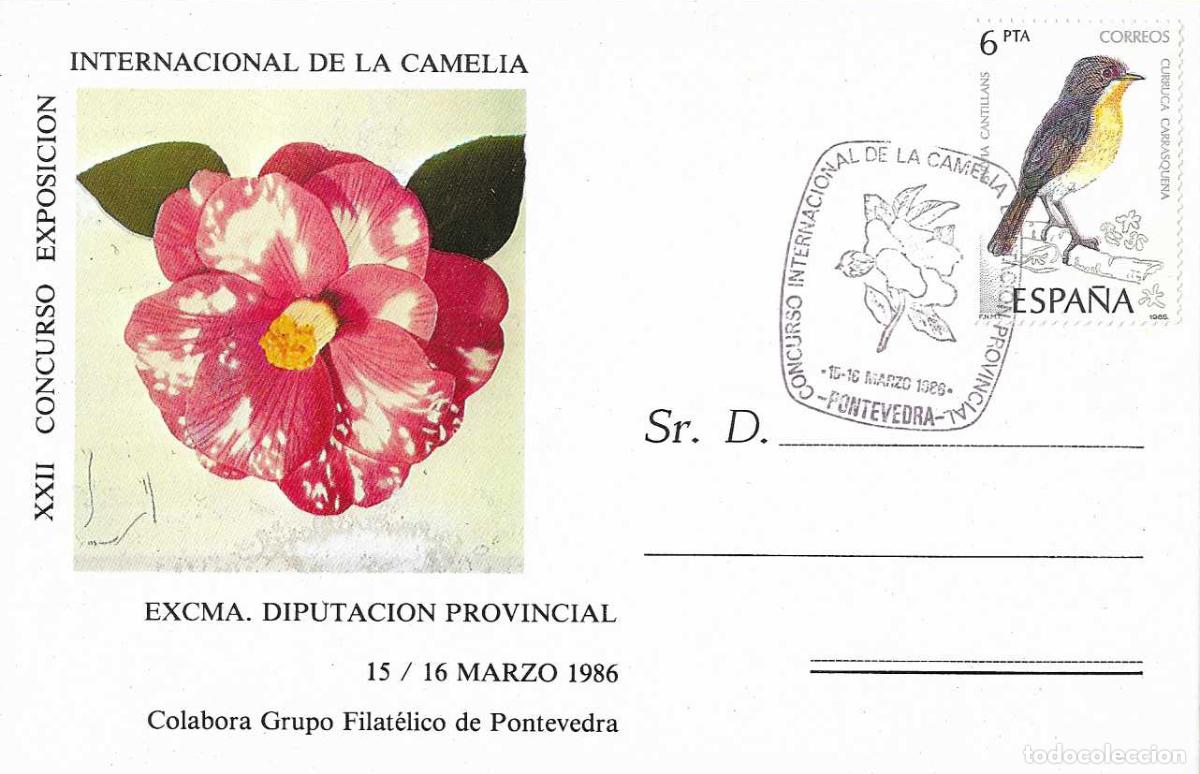 Sellos: CAMELIA CONCURSO INTERNACIONAL DIPUTACION PROVINCIAL, PONTEVEDRA 1986 MATASELLOS EN TARJETA RARO ASI