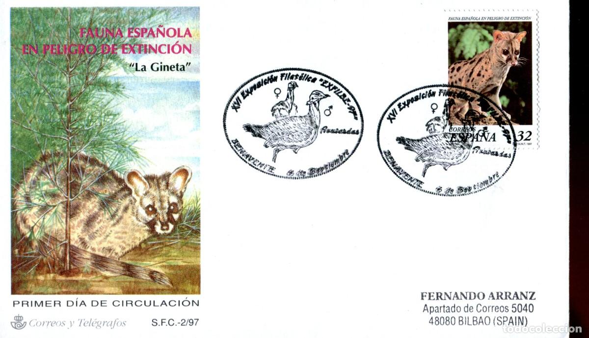 Sellos: 1997 BENAVENTE - XVI EXPOSICION FILATELICA EXFILBE 97 FAUNA ESPA&Ntilde;OLA EN EXTINCION LA GINETA