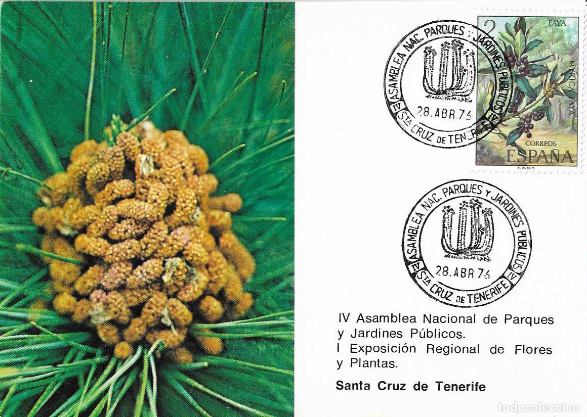 Sellos: PINO CANARIO FLORA ASAMBLEA PARQUES SANTA CRUZ TENERIFE (CANARIAS) 28 ABRIL 1976 MATASELLOS TARJETA