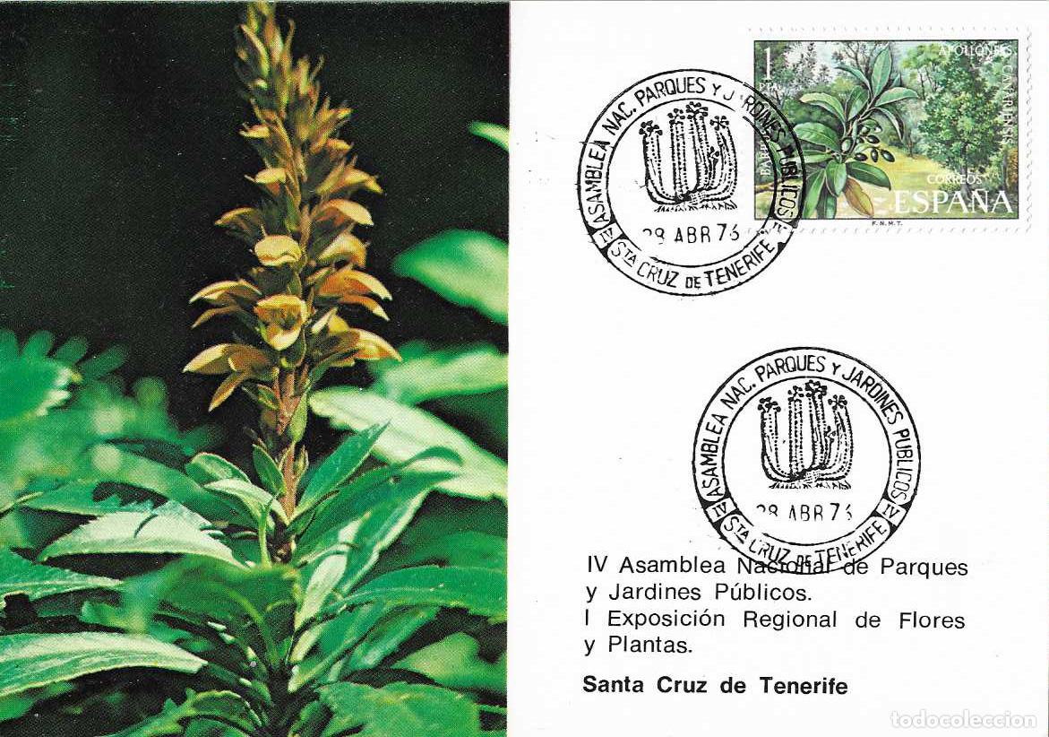 Sellos: CRESTA GALLO FLORA ASAMBLEA PARQUES, SANTA CRUZ TENERIFE (CANARIAS) 28 ABRIL 1976 MATASELLOS TARJETA