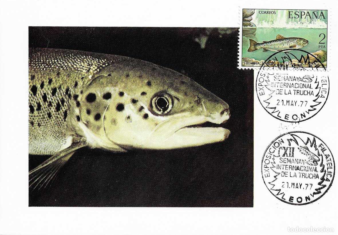 Briefmarken: PESCA PECES TRUCHA XII SEMANA INTERNACIONAL, LEON 21 MAYO 1977. MATASELLOS EN TARJETA RARO ASI