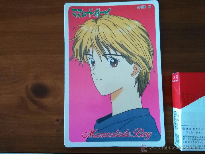 MARMALADE BOY JUMBO CARDASS DX BROMIDE