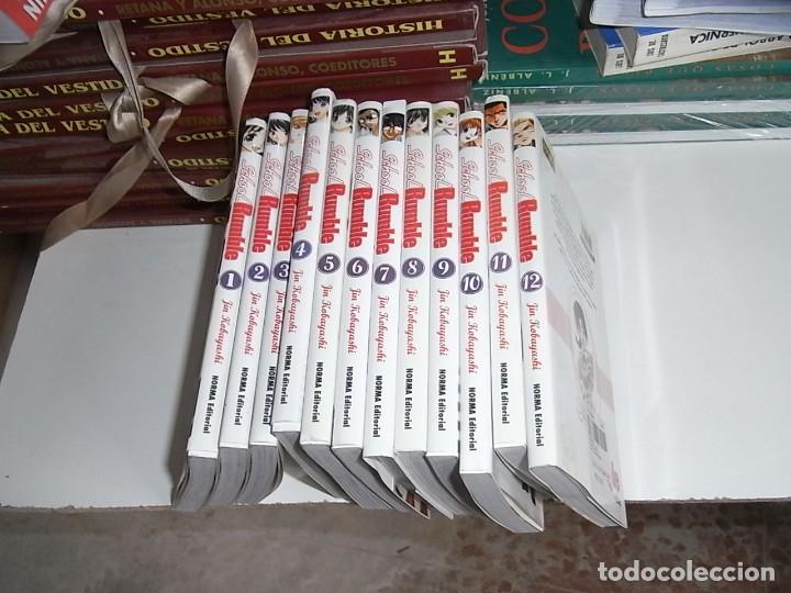 Jin Kobayashi, School Rumble, Norma, nº 1.2.3.4.5.6.7.8.9.10.11.12