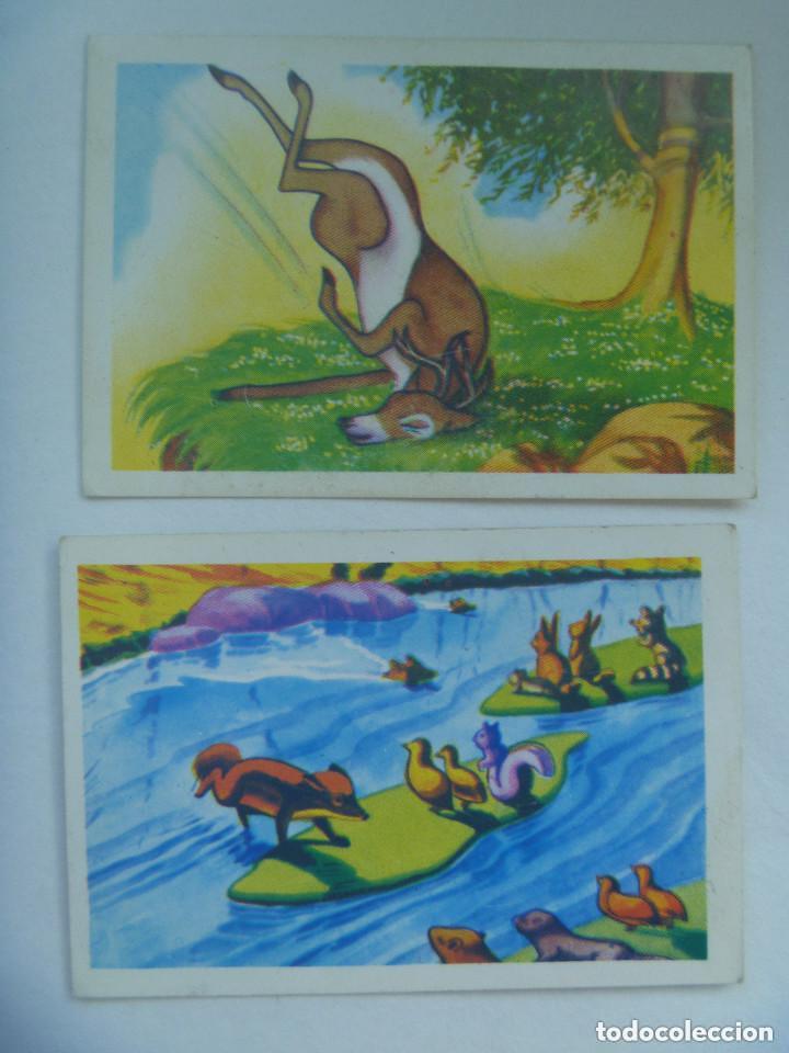 LOTE DE 2 CROMOS DE BAMBI , DE WALT DISNEY . EDITORIAL FHER . 1970