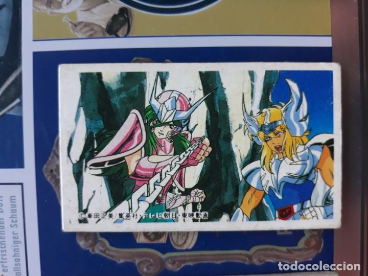 saint seiya caballeros del zodiaco menko card 