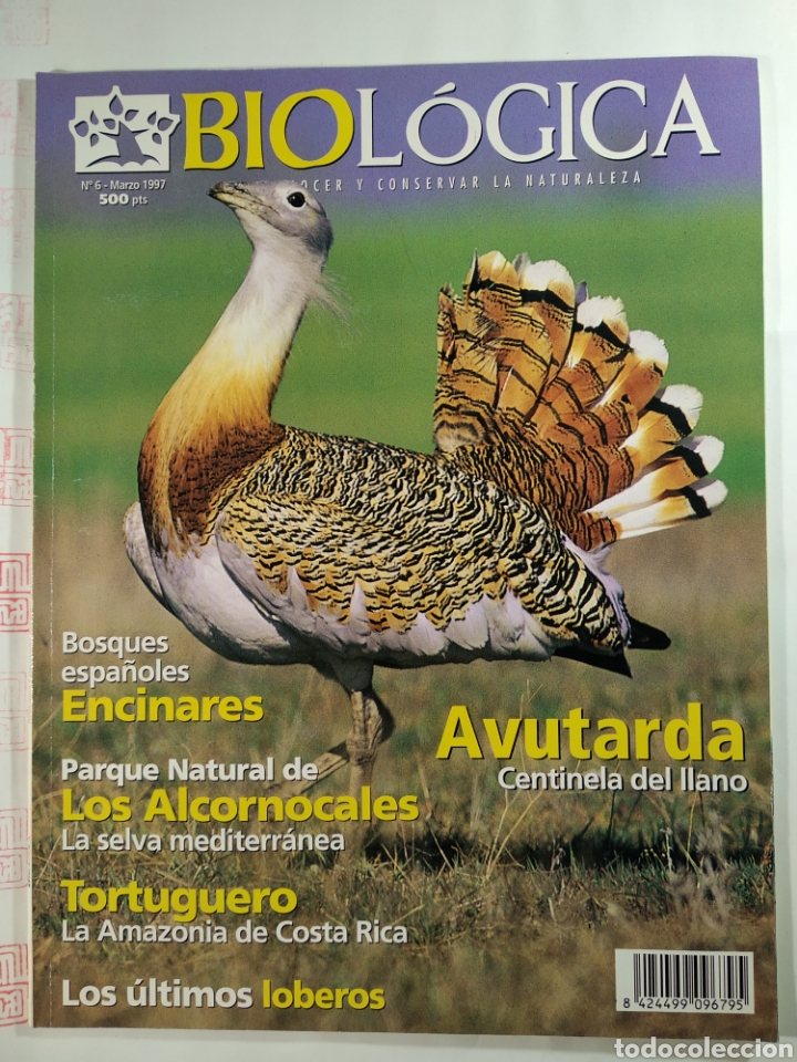Revista Biológica n°6 marzo 1997
