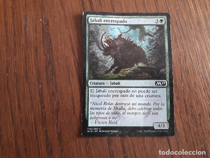 carta magic the gathering, deckmaster. Jabalí encrespado, 170/280, año 2018
