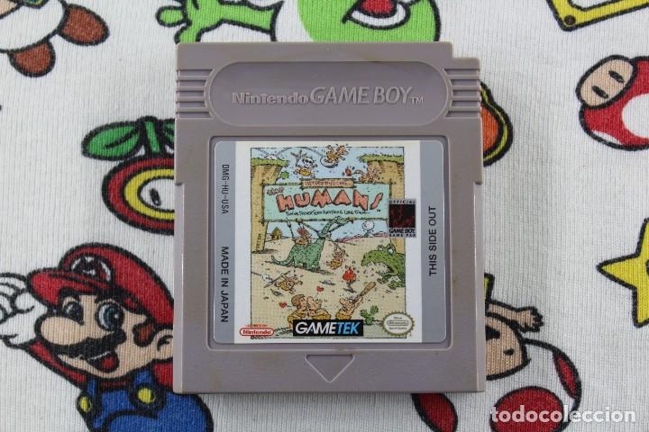 NINTENDO GAME BOY INTRODUCING THE HUMANS ORIGINAL SOLO CARTUCHO NTSC USA