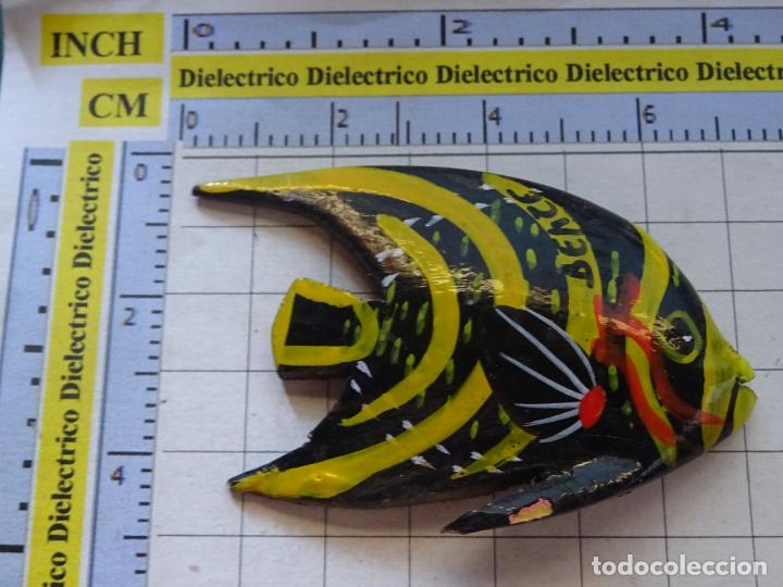 IMÁN DE NEVERA. SOUVENIR RECUERDO TURISMO. BELICE, PEZ DE COLORES
