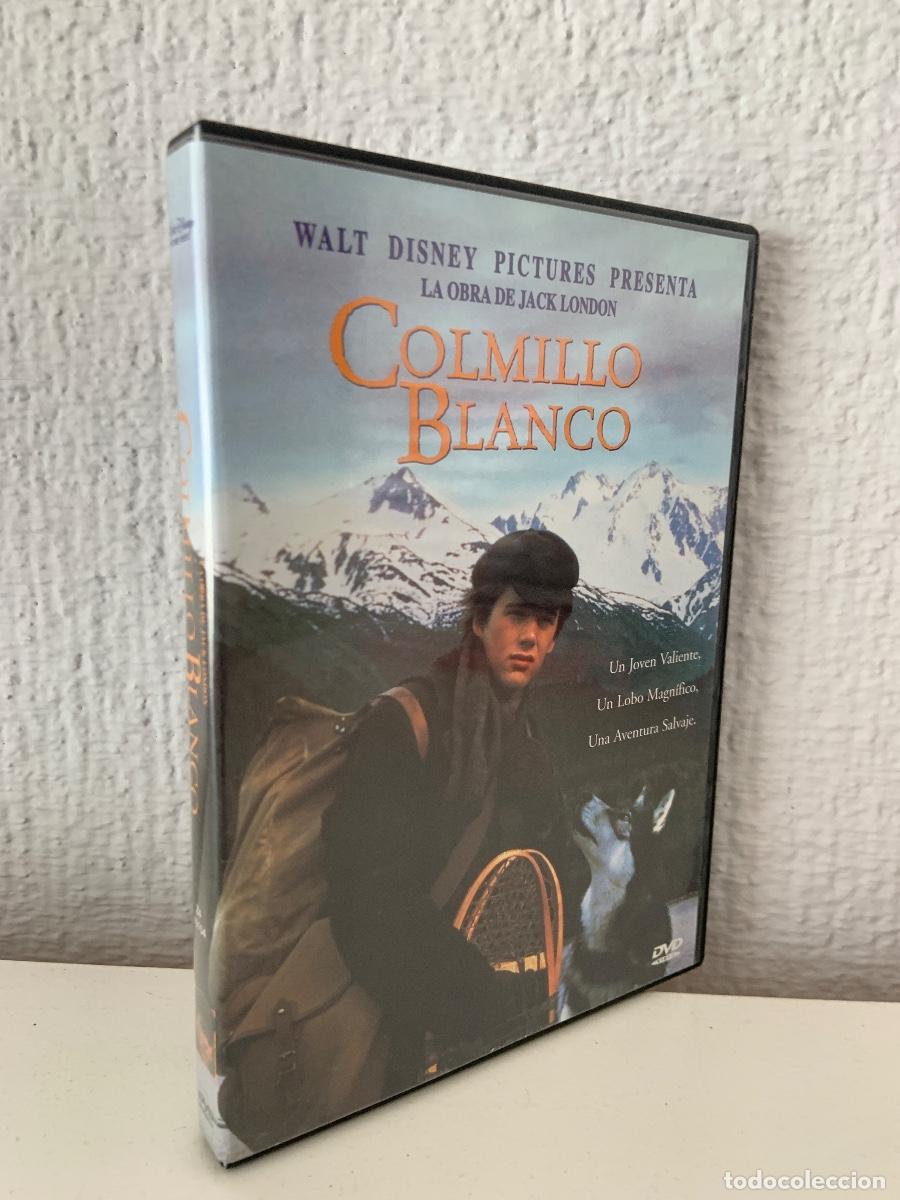 COLMILLO BLANCO (1991) - DVD - WALT DISNEY - 2001 - ¡BUEN ESTADO!