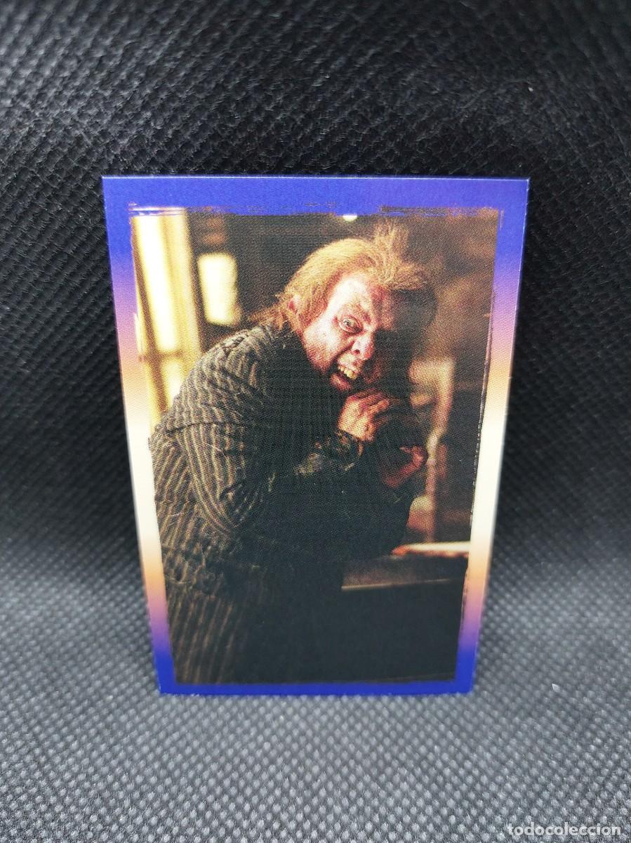 PANINI HARRY POTTER UN AÑO EN HOGWARTS - Nº 102