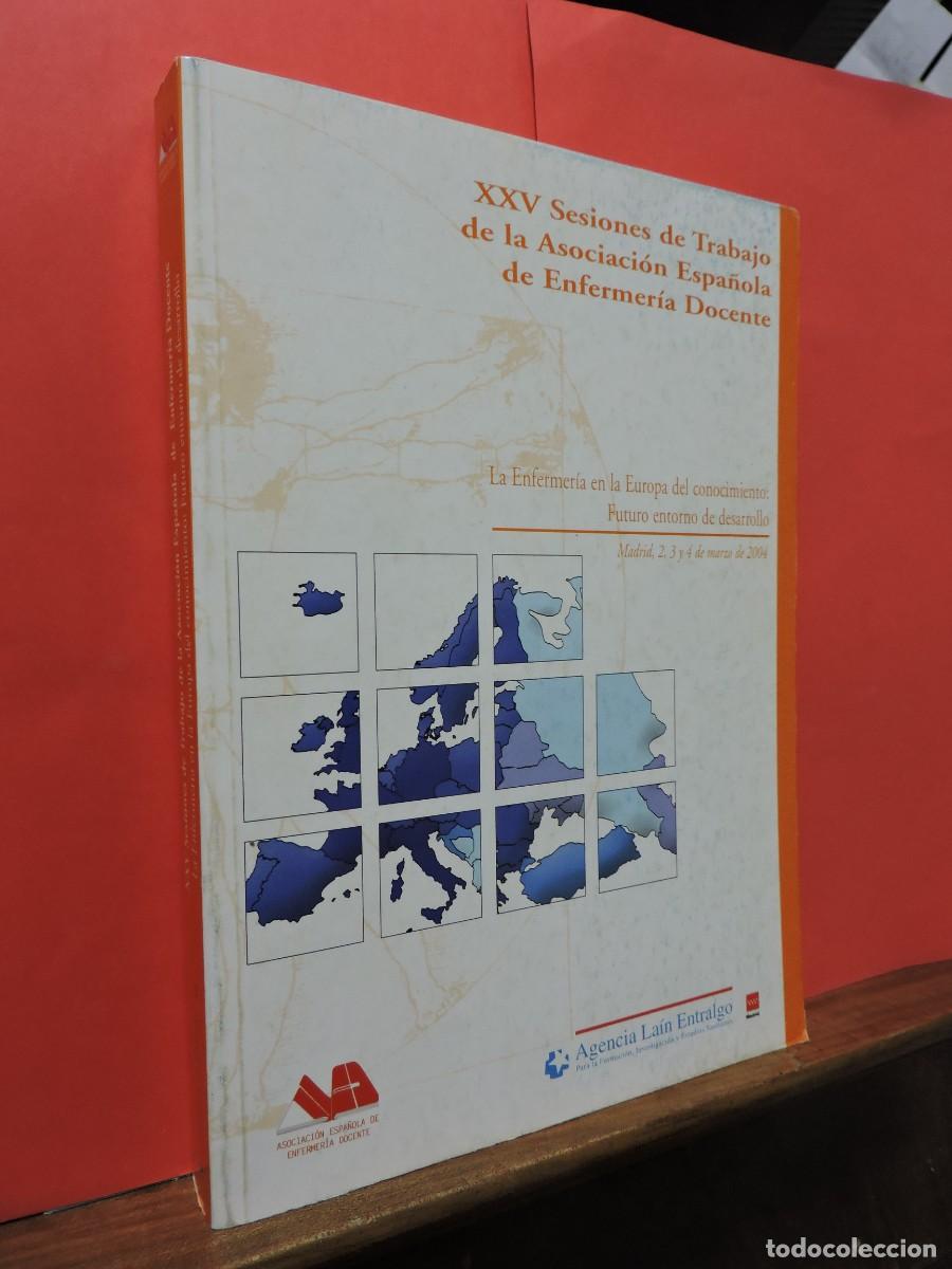 XXV sesiones de trabajo de la Asociación Española de Enfermería Docente. Madrid, 2004