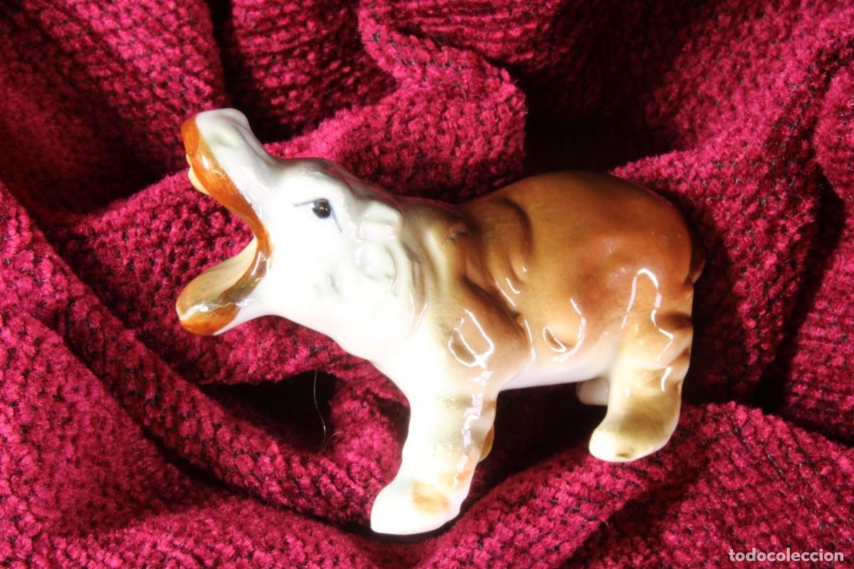 Figura porcelana miniatura hipopótamo. Miniature porcelain hippopotamus figurine.