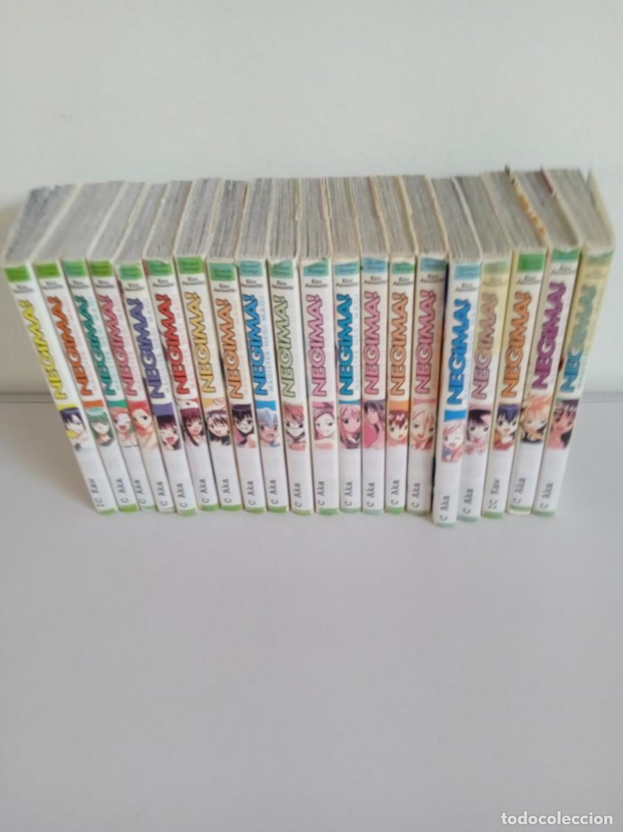 NEGIMA ! 20 Tomos