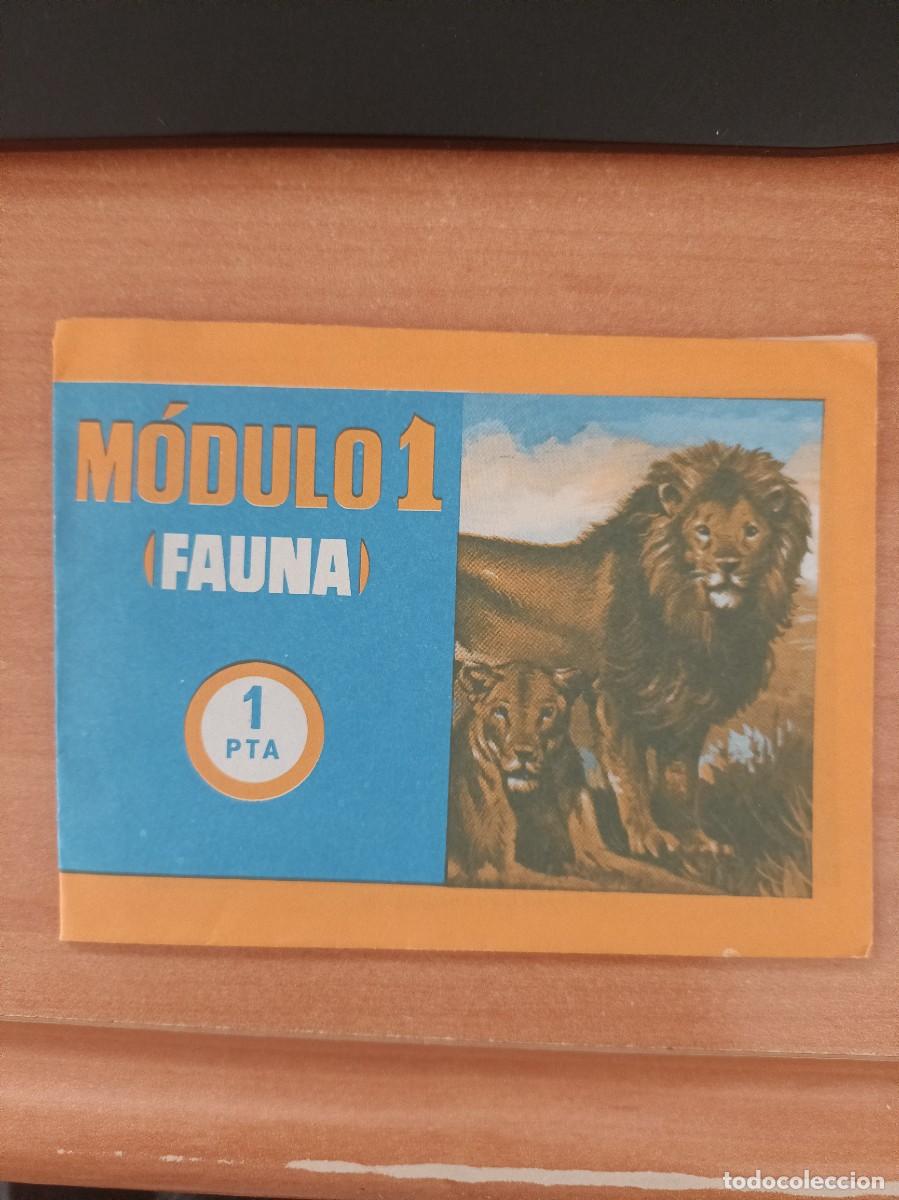 sobre sin abrir, modulo 1 fauna