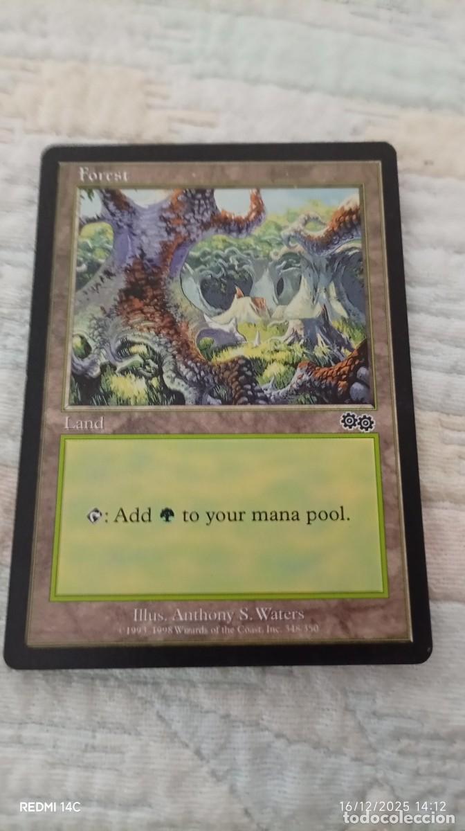 Carta de Magic: The Gathering, tipo Forest. 1993 - Ilustrador: Anthony S. Waters. -