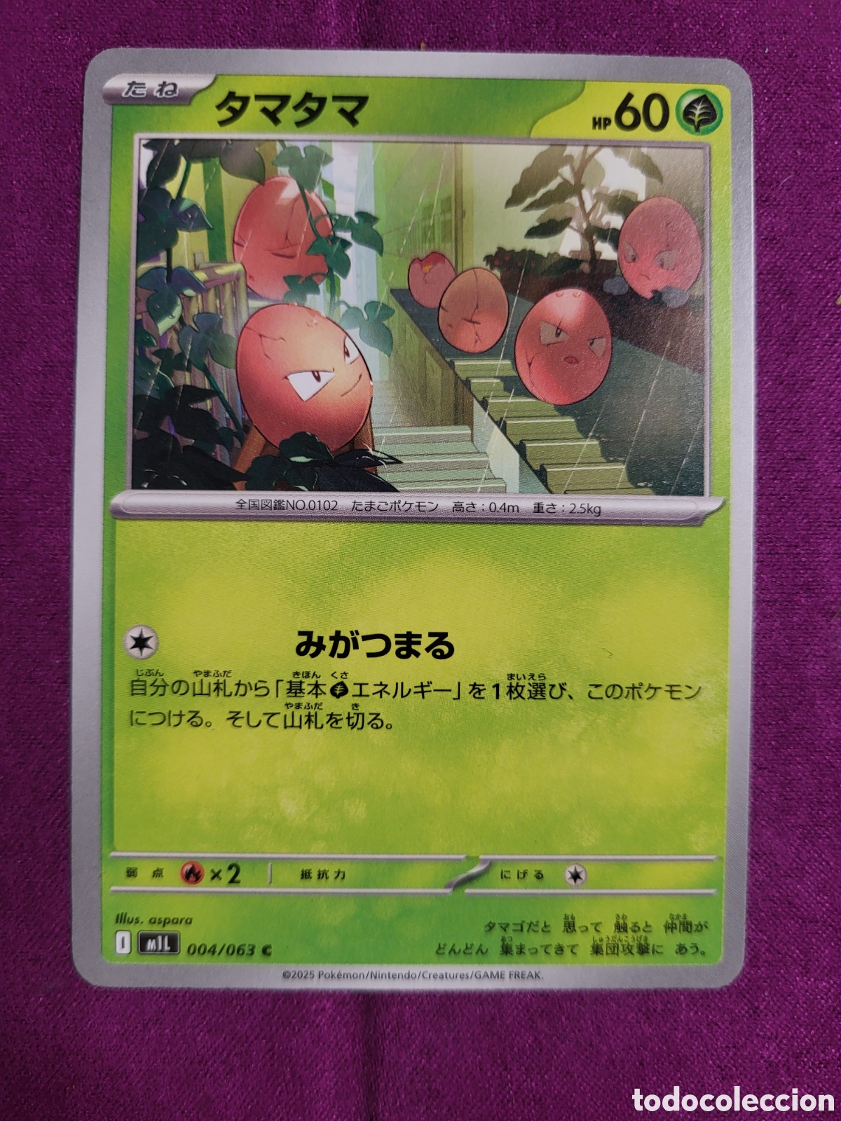 4 Exeggcute [M1L] / Pokemon Mega Brave 2025 [JAP]