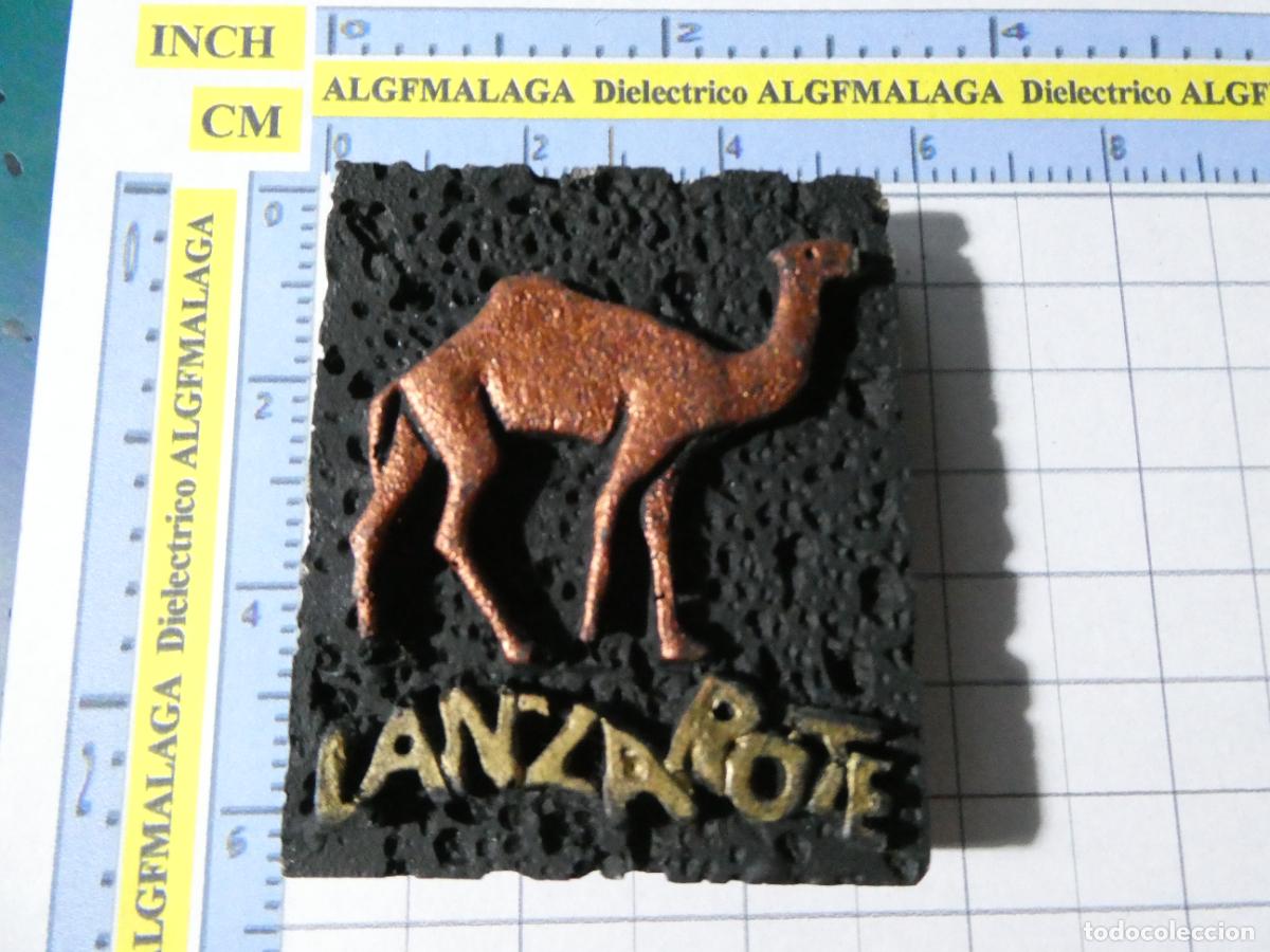 IMÁN DE NEVERA. SOUVENIR RECUERDO. LANZAROTE ISLA VOLCANES CAMELLO