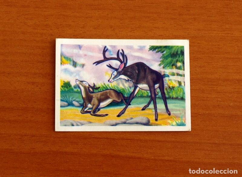 Bambi - Cromo Nº 191 - Editorial Fher Año 1970