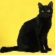 avatar blackcat-123