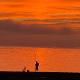 avatar mercebelo